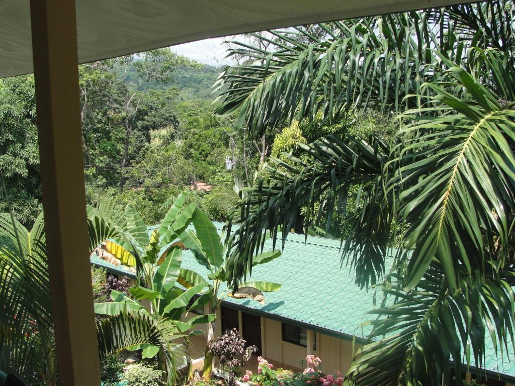 Big Bamboo De Uvita Kamer foto