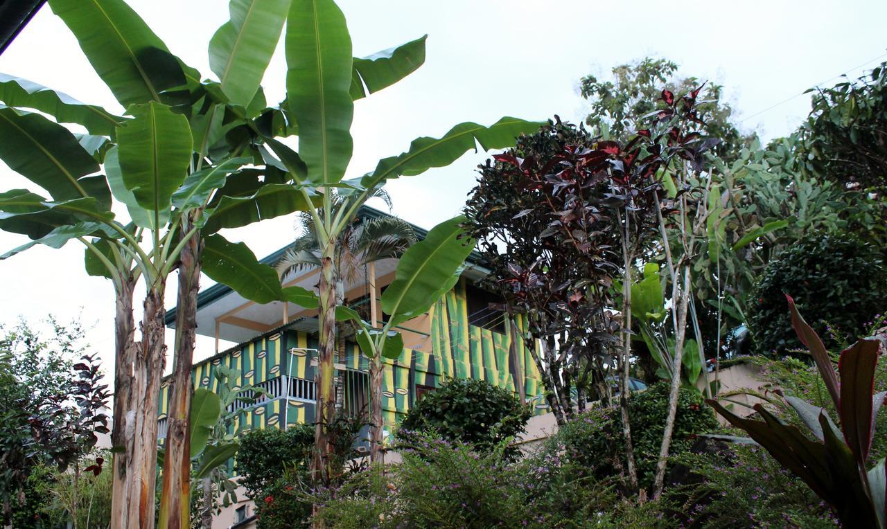 Big Bamboo De Uvita Buitenkant foto